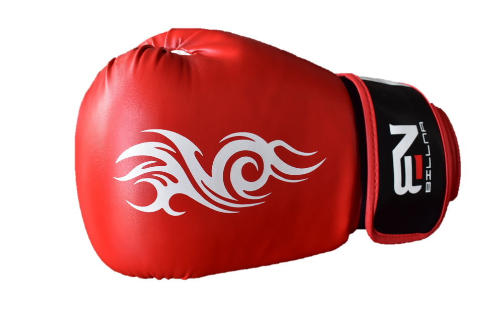 Boxing Bag: Box Gloves