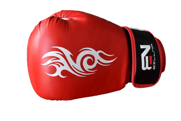Boxing Bag: Box Gloves